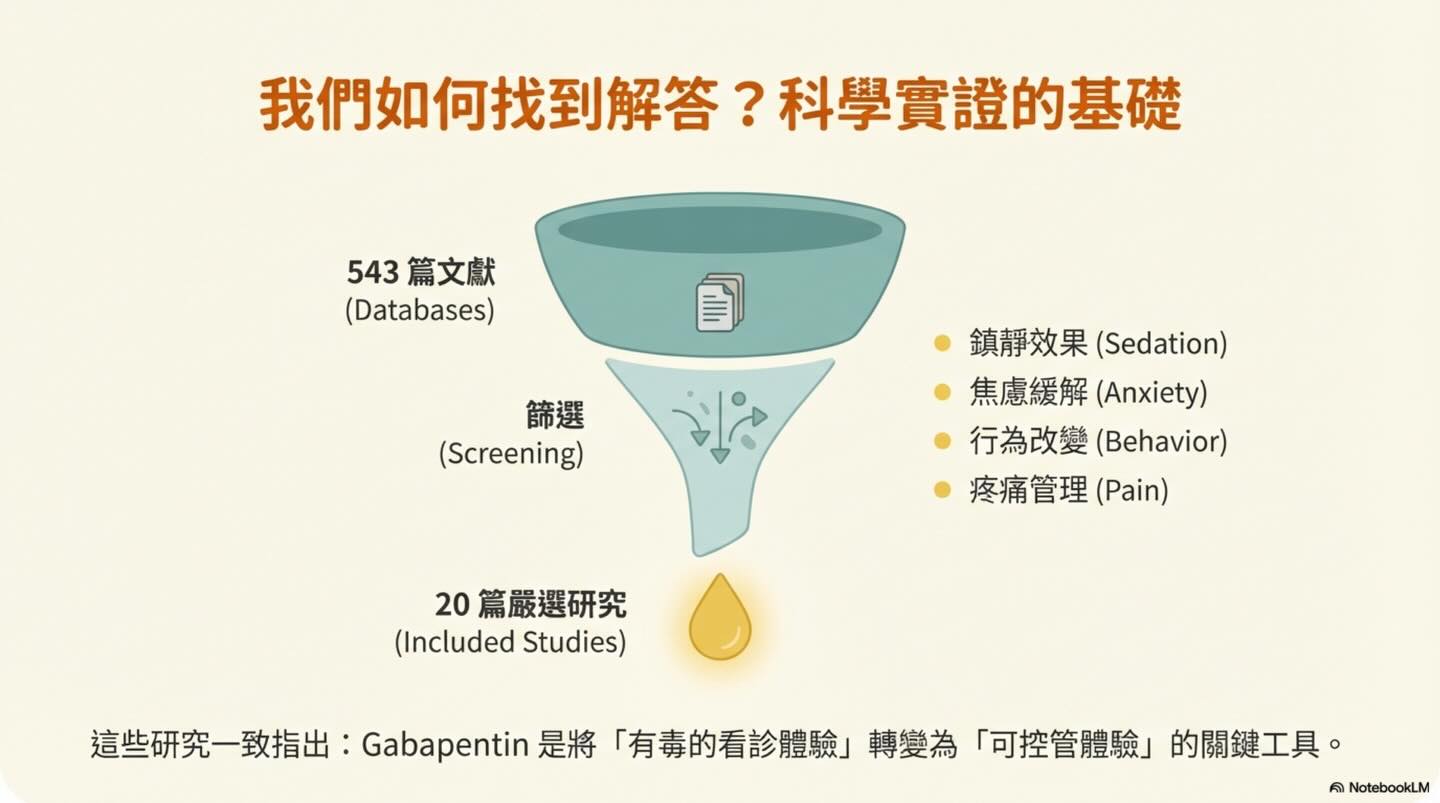 貓咪就診前的 Gabapentin 使用指南：效益與反應圖卡 3