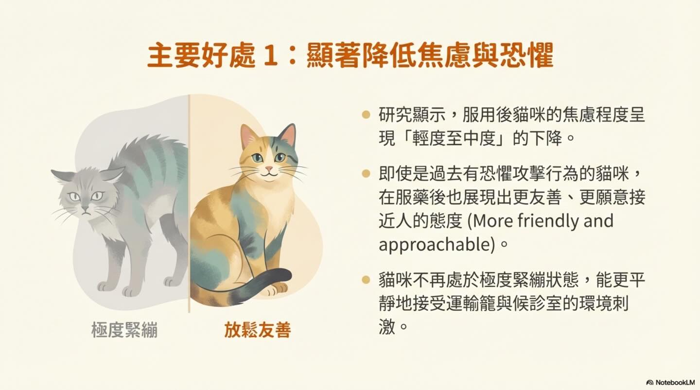 貓咪就診前的 Gabapentin 使用指南：效益與反應圖卡 5