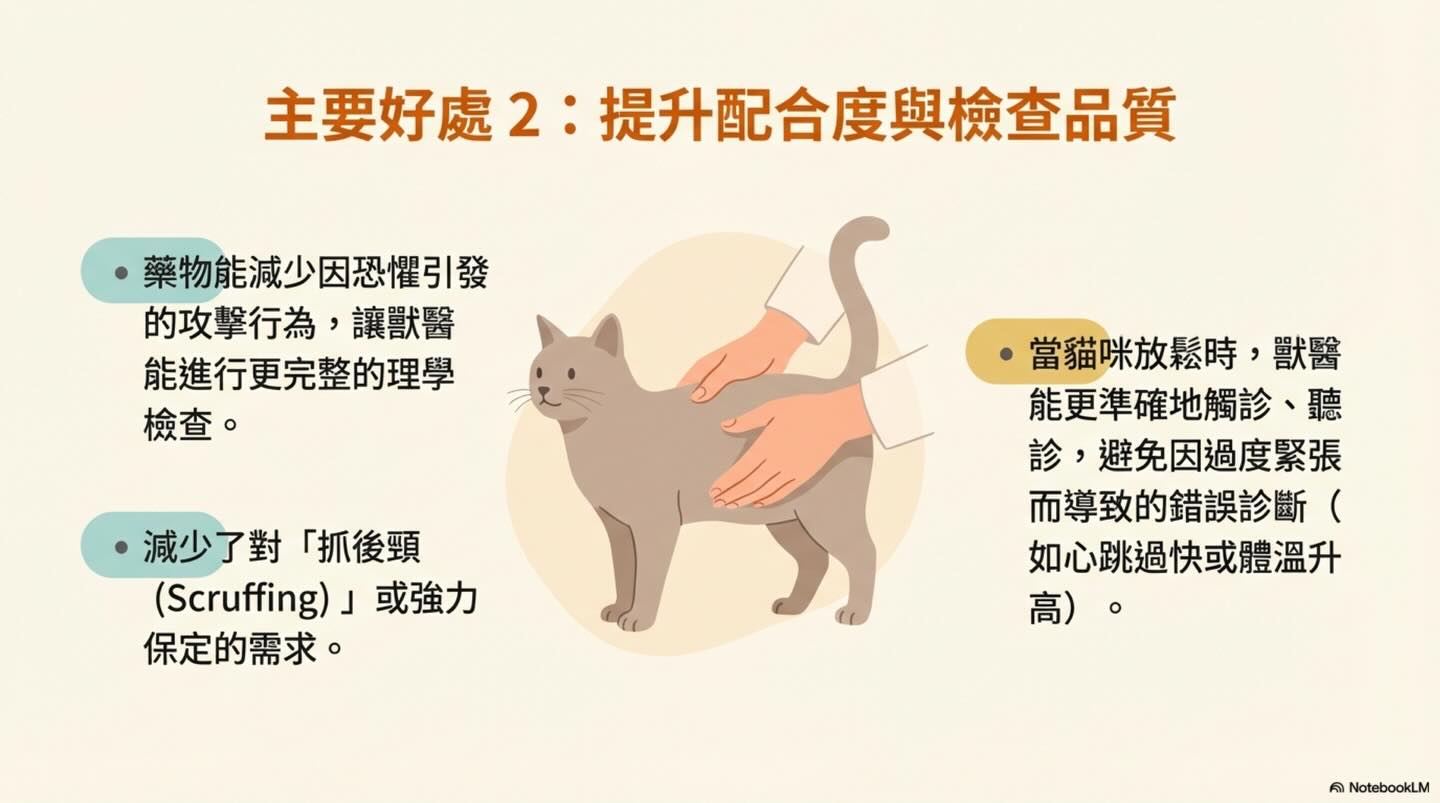 貓咪就診前的 Gabapentin 使用指南：效益與反應圖卡 6