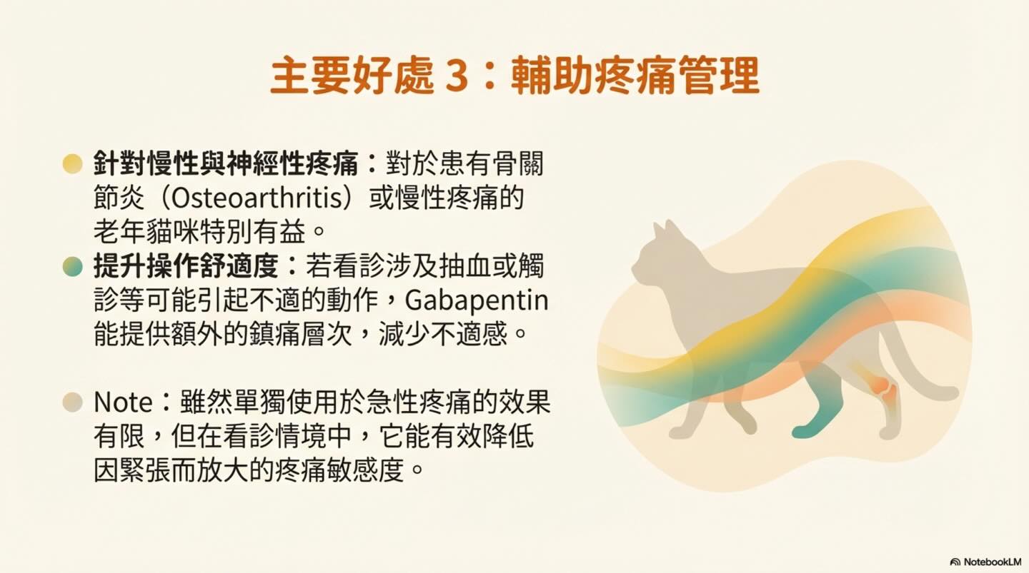 貓咪就診前的 Gabapentin 使用指南：效益與反應圖卡 7