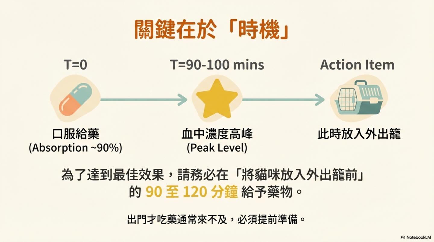 貓咪就診前的 Gabapentin 使用指南：效益與反應圖卡 9