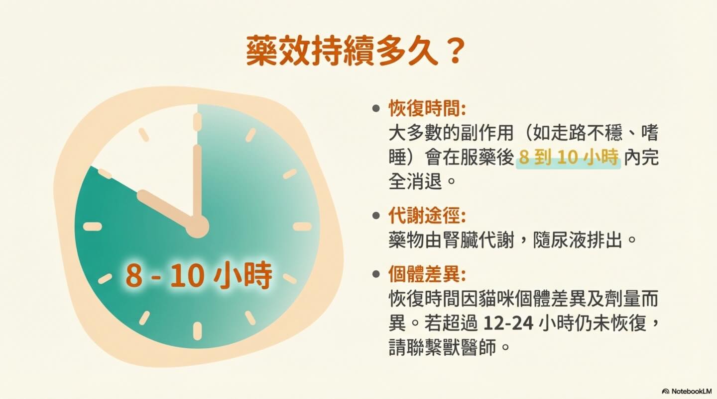 貓咪就診前的 Gabapentin 使用指南：效益與反應圖卡 12