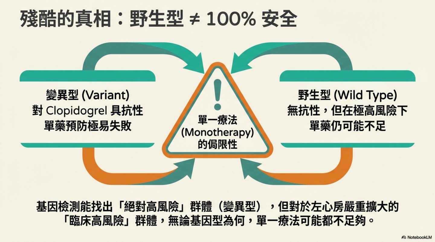 貓 HCM｜P2RY1 與血栓預防圖卡 8：殘酷的真相：野生型 ≠ 100% 安全