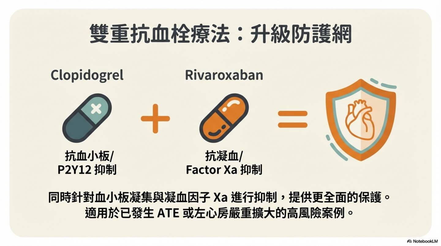 貓 HCM｜P2RY1 與血栓預防圖卡 9：雙重抗血栓療法：升級防護網