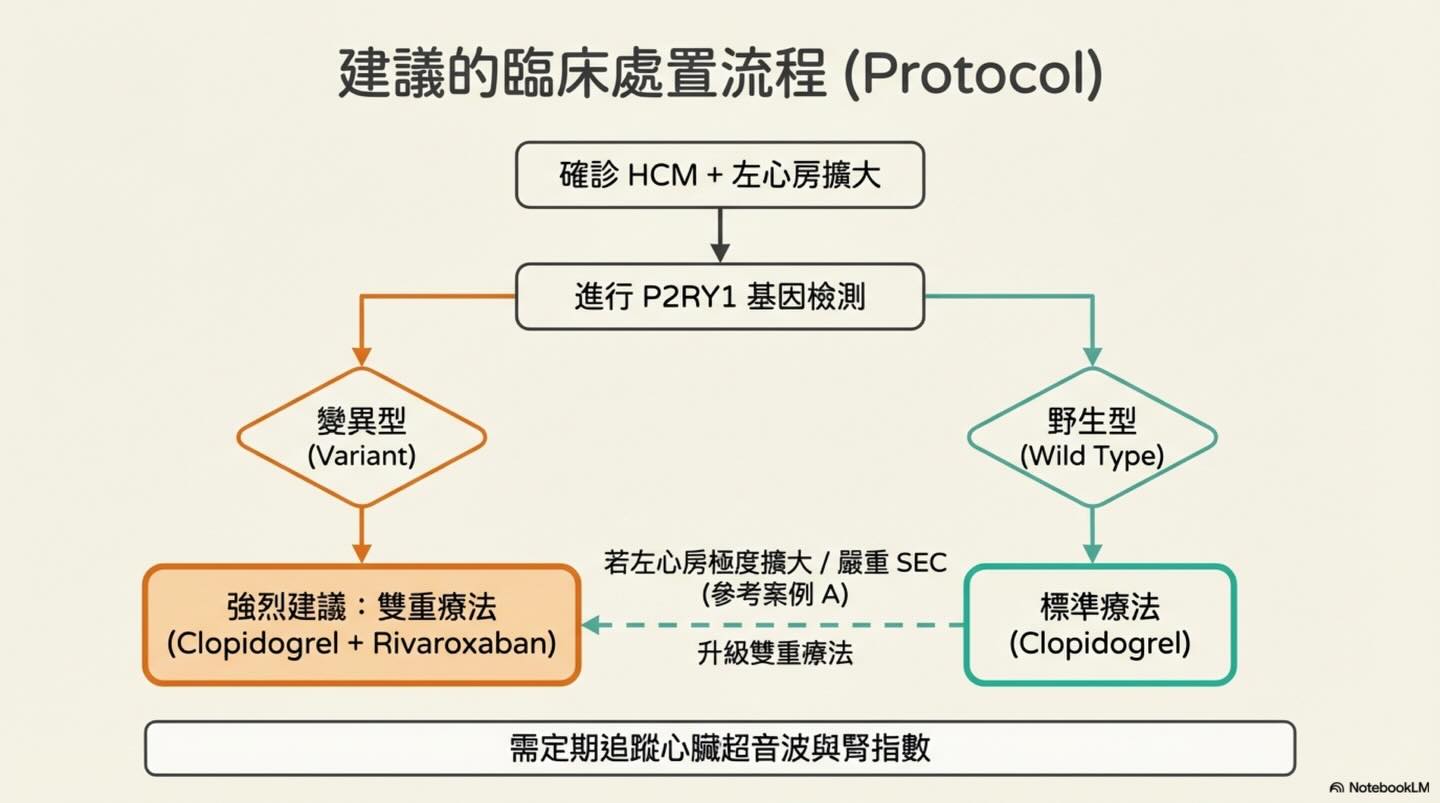 貓 HCM｜P2RY1 與血栓預防圖卡 11：建議的臨床決策流程（Protocol）