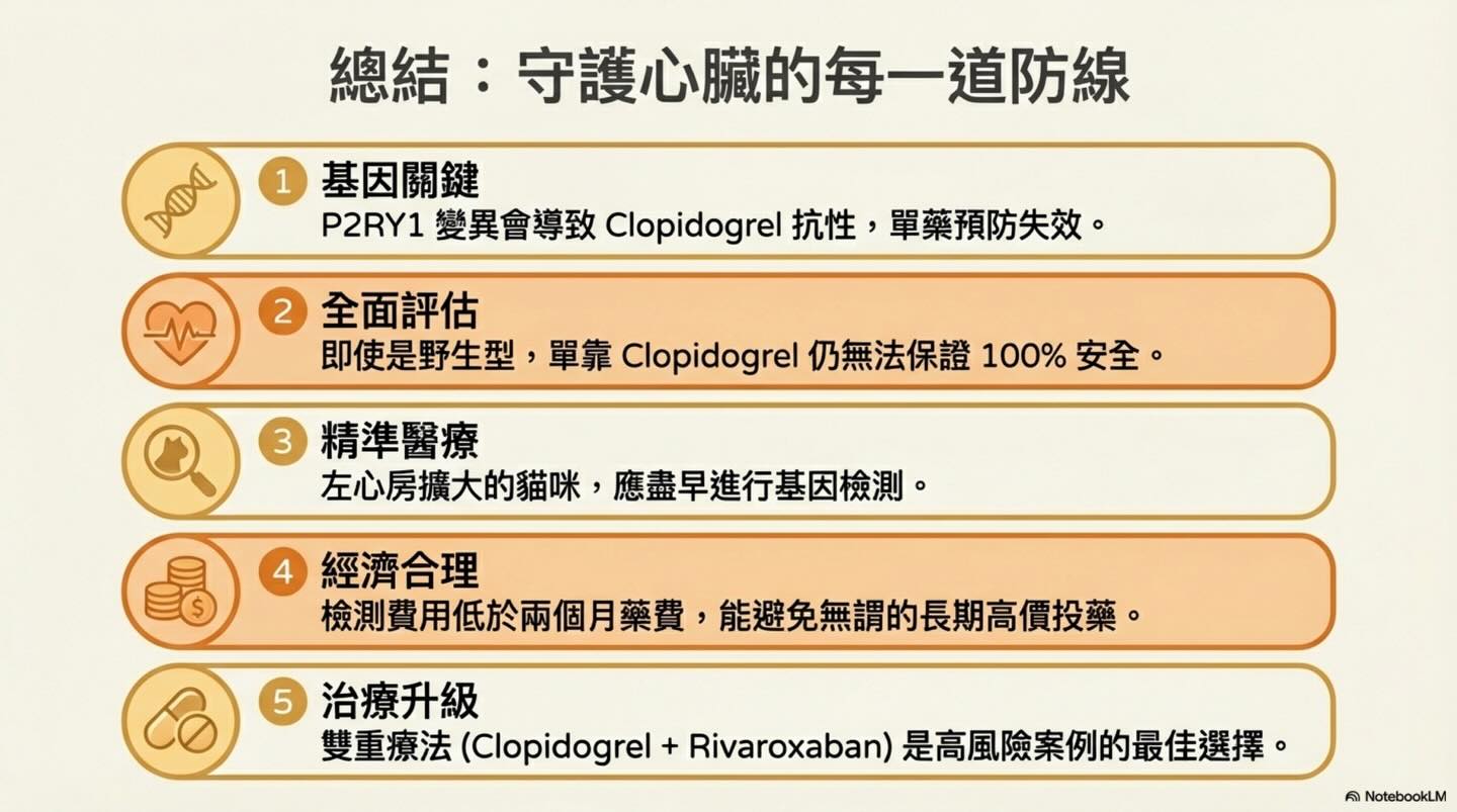 貓 HCM｜P2RY1 與血栓預防圖卡 12：總結：守護心臟的每一道防線