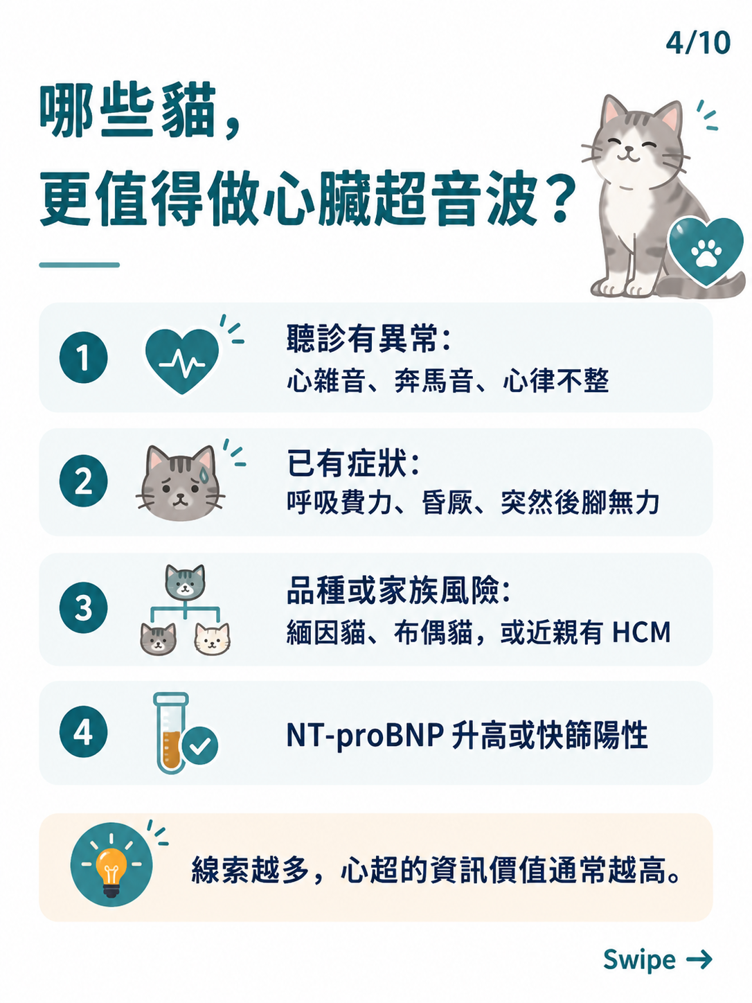 貓咪 HCM 篩檢圖卡 4：哪些貓更值得做心臟超音波