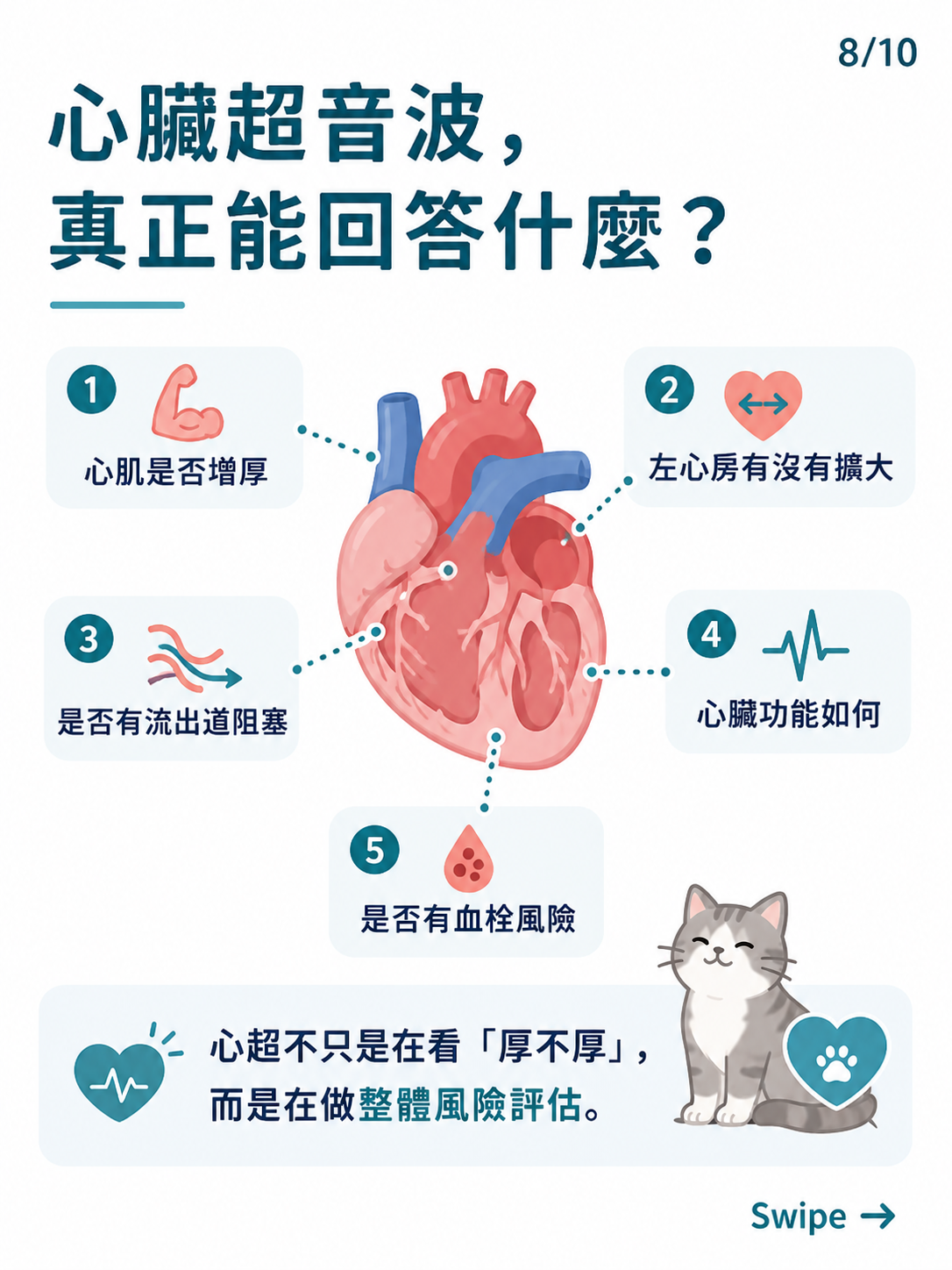 貓咪 HCM 篩檢圖卡 8：心臟超音波真正能回答什麼