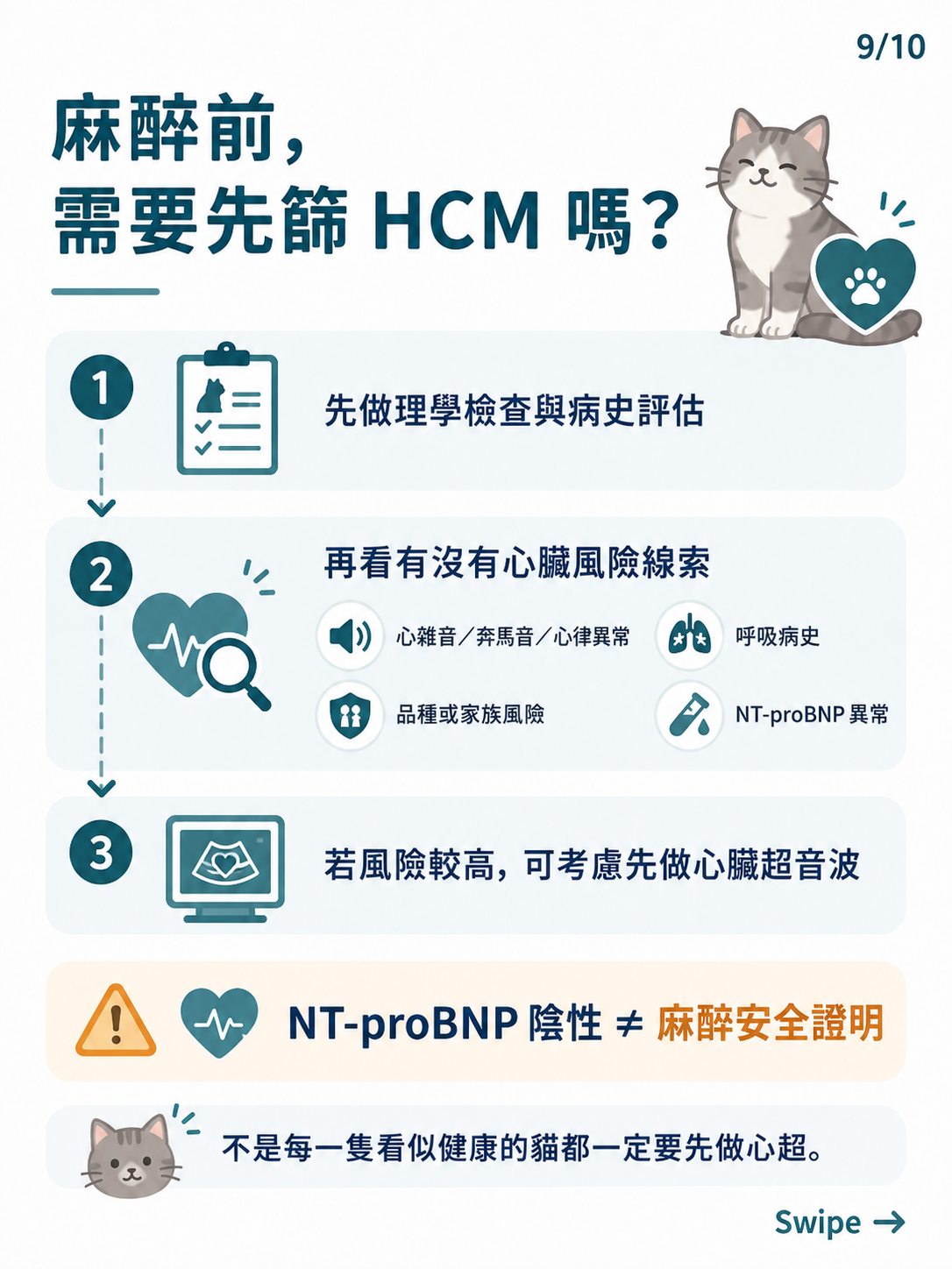 貓咪 HCM 篩檢圖卡 9：麻醉前需要先篩 HCM 嗎