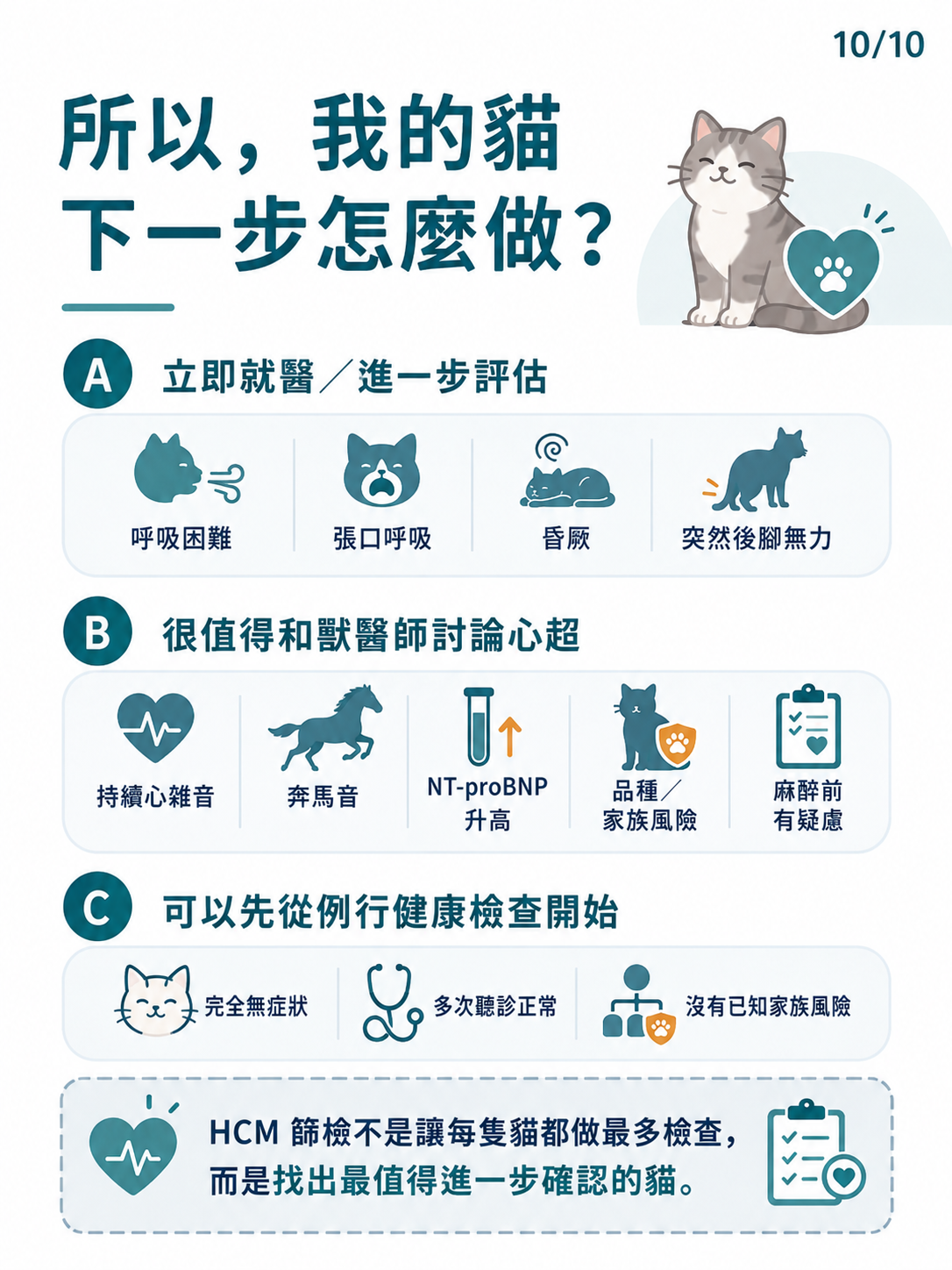貓咪 HCM 篩檢圖卡 10：所以我的貓下一步怎麼做