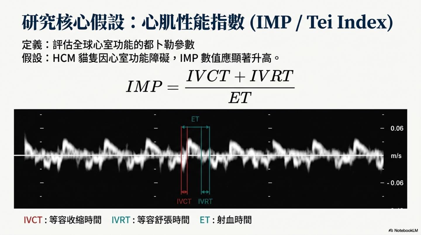 貓 HCM｜Tei Index 與預後圖卡 3：研究核心假設：心肌性能指數（IMP / Tei Index）