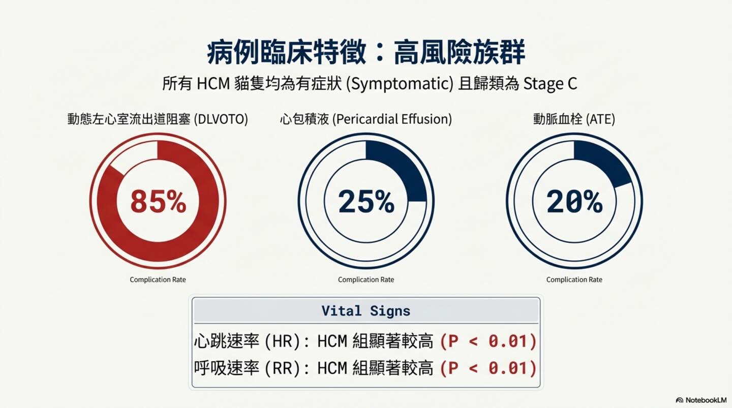 貓 HCM｜Tei Index 與預後圖卡 5：病例臨床特徵：高風險族群
