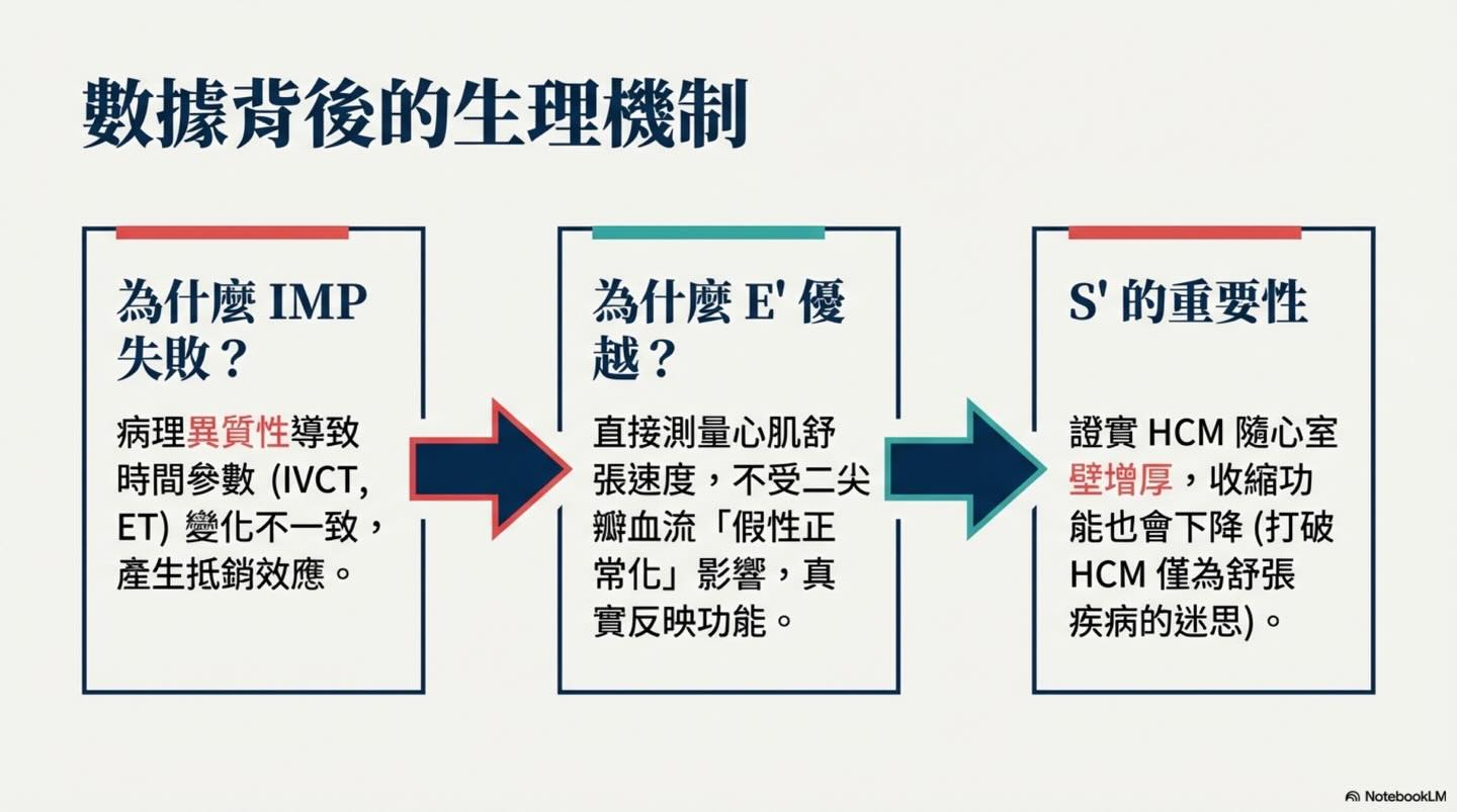 貓 HCM｜Tei Index 與預後圖卡 13：數據背後的生理機制