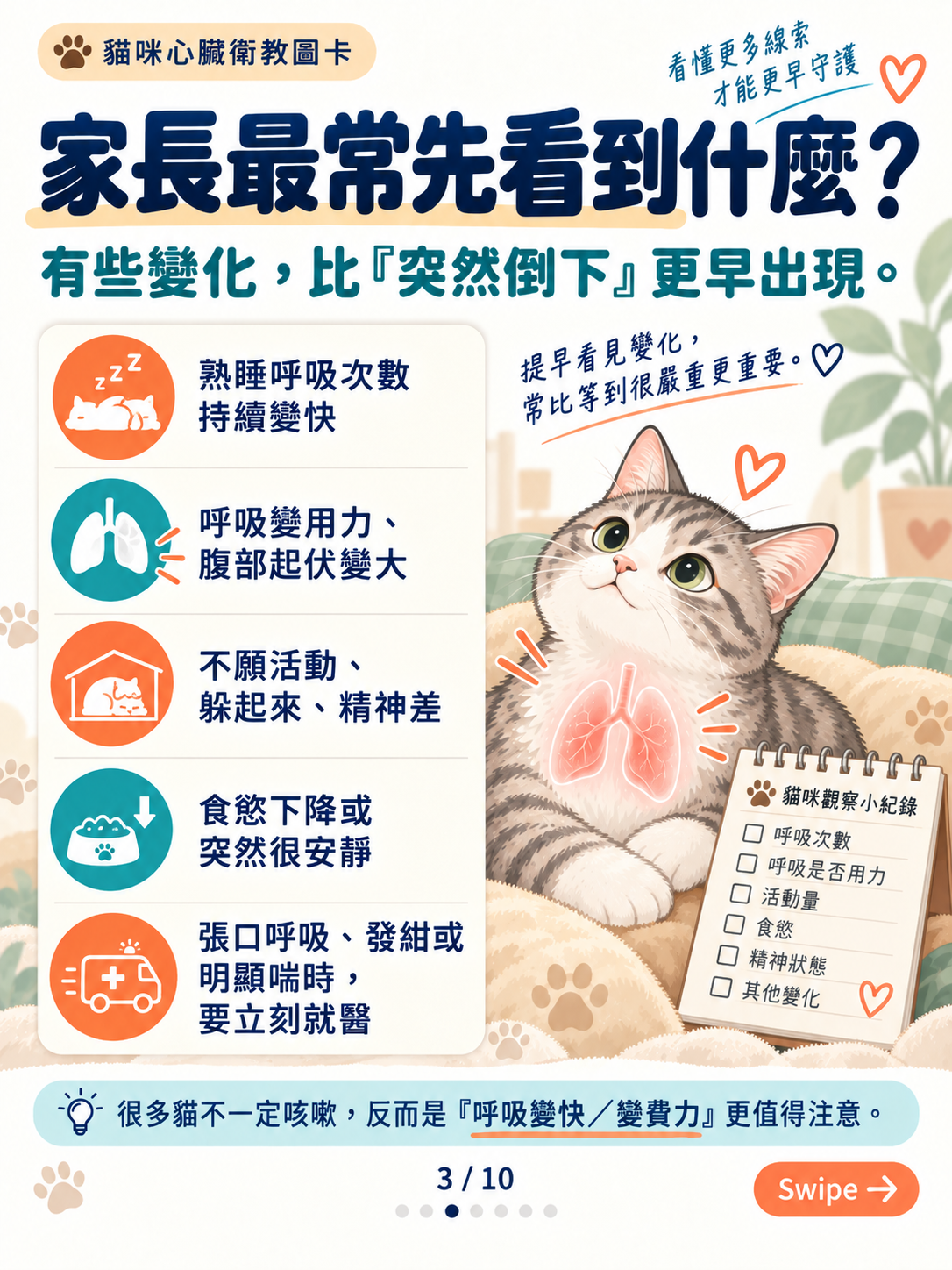 貓心衰竭｜呼吸與心腎平衡，第 3 張：貓咪呼吸變化觀察指南