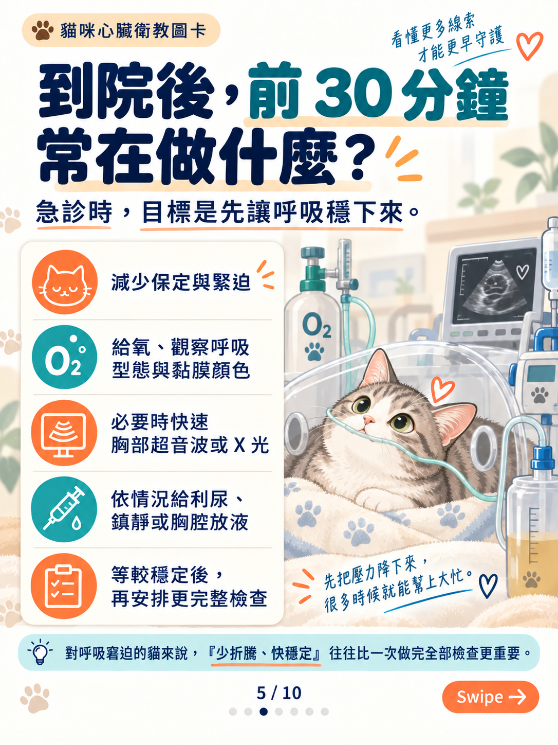 貓心衰竭｜呼吸與心腎平衡，第 5 張：到院後前30分鐘處置