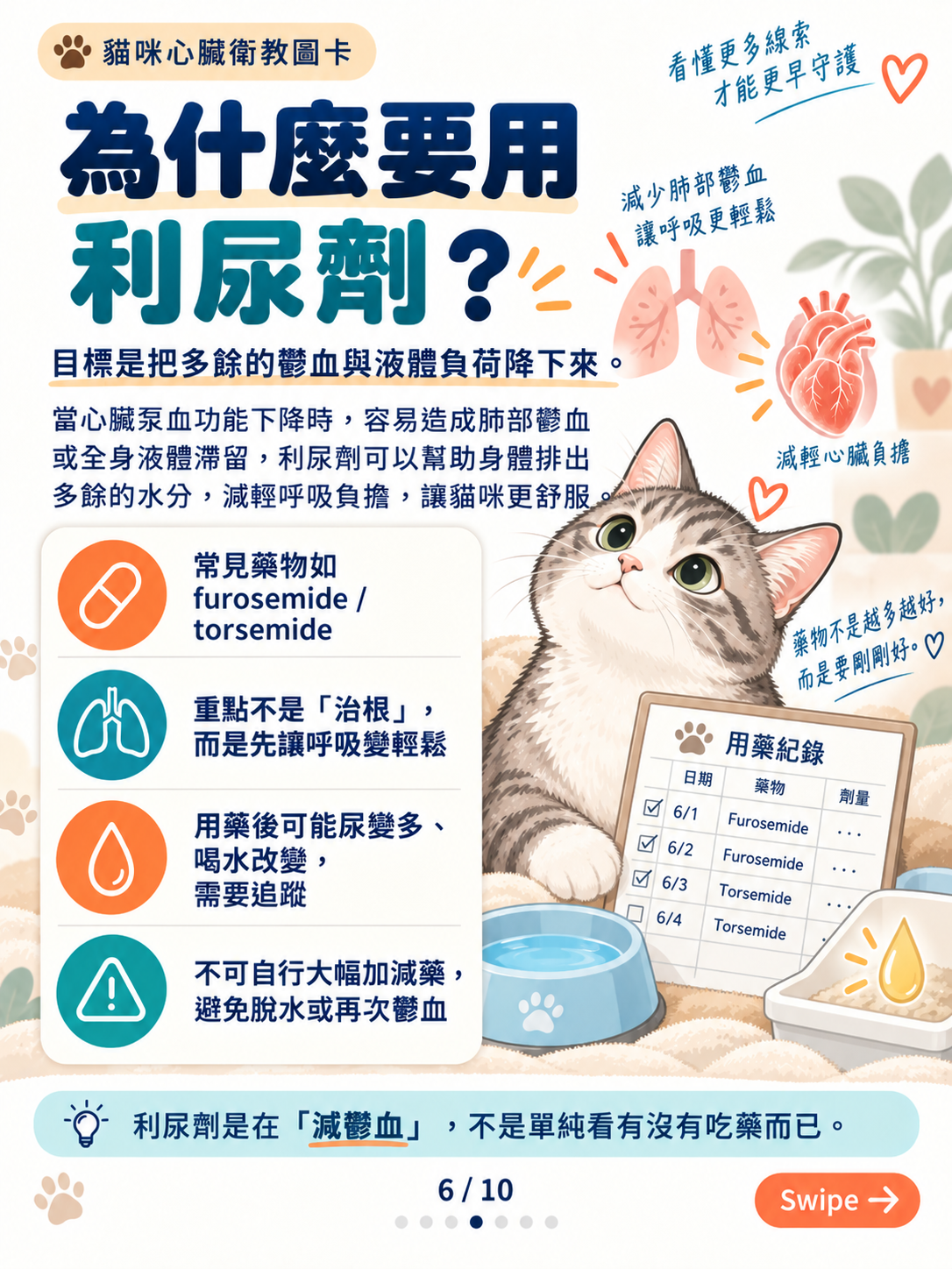 貓心衰竭｜呼吸與心腎平衡，第 6 張：貓咪利尿劑衛教圖卡