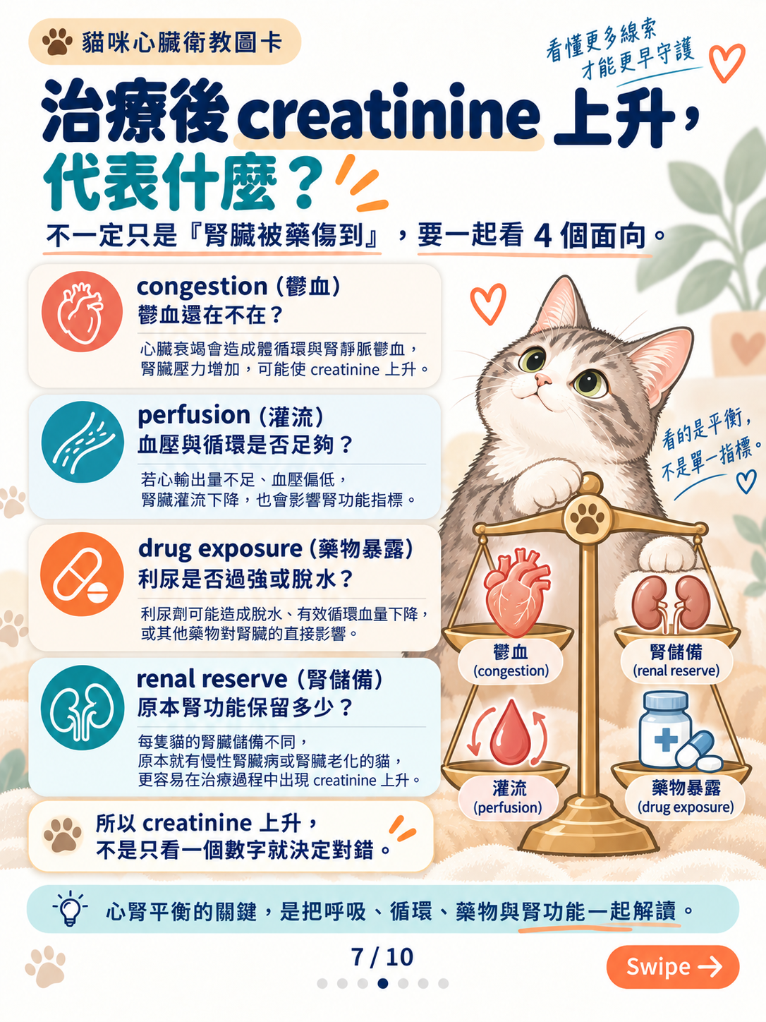 貓心衰竭｜呼吸與心腎平衡，第 7 張：貓咪心臟腎臟平衡指南