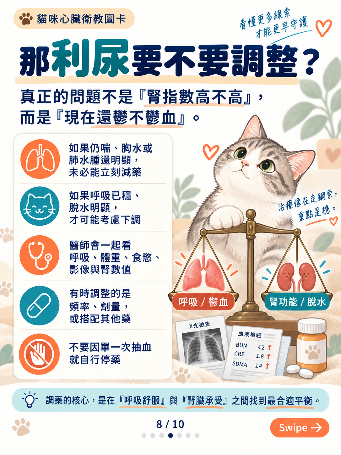 貓心衰竭｜呼吸與心腎平衡，第 8 張：貓咪利尿調整的平衡指南