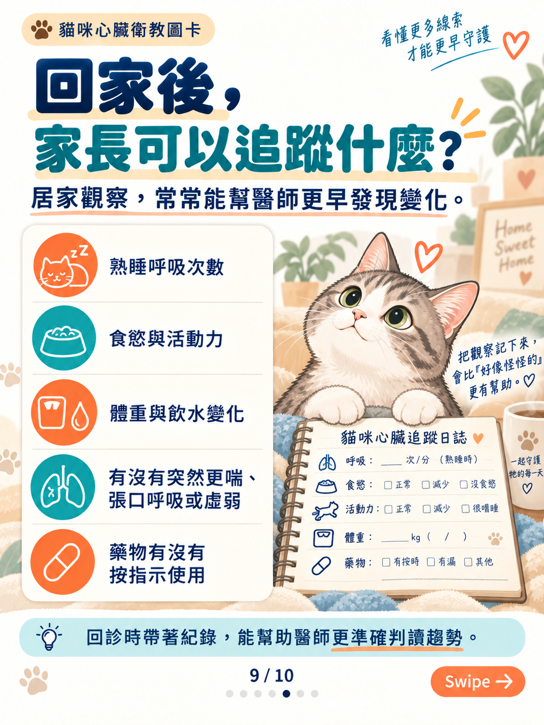 貓心衰竭｜呼吸與心腎平衡，第 9 張：貓咪居家觀察追蹤指南