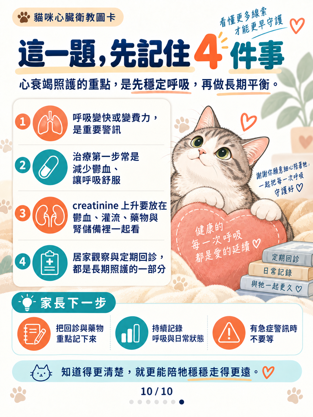 貓心衰竭｜呼吸與心腎平衡，第 10 張：貓心衰竭照護重點