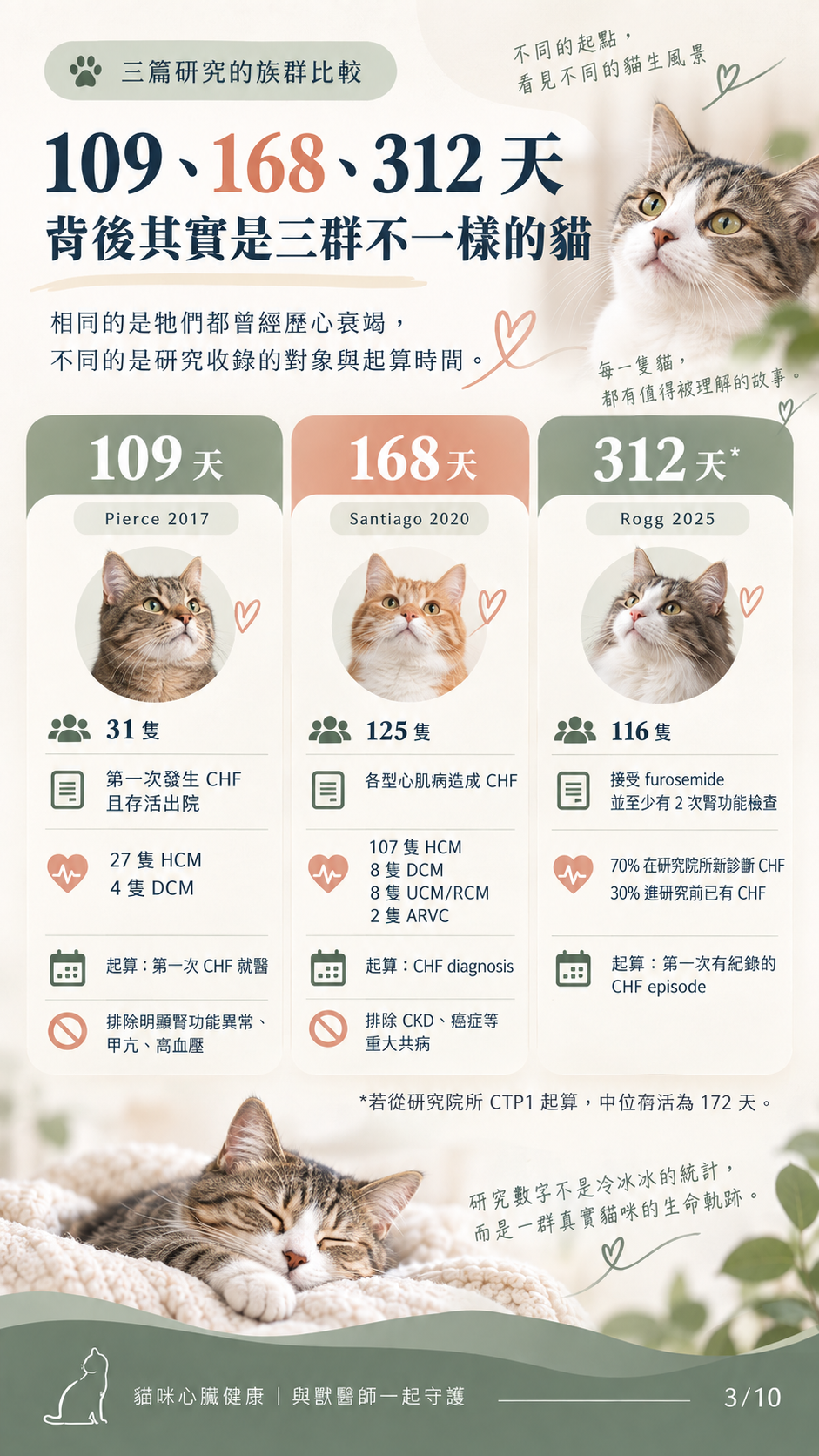 貓咪心衰竭預後與照護圖卡第 3 張：三篇研究的存活時間比較。