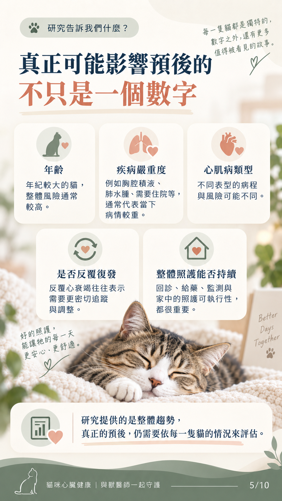 貓咪心衰竭預後與照護圖卡第 5 張：可能影響預後的五大關鍵因素。