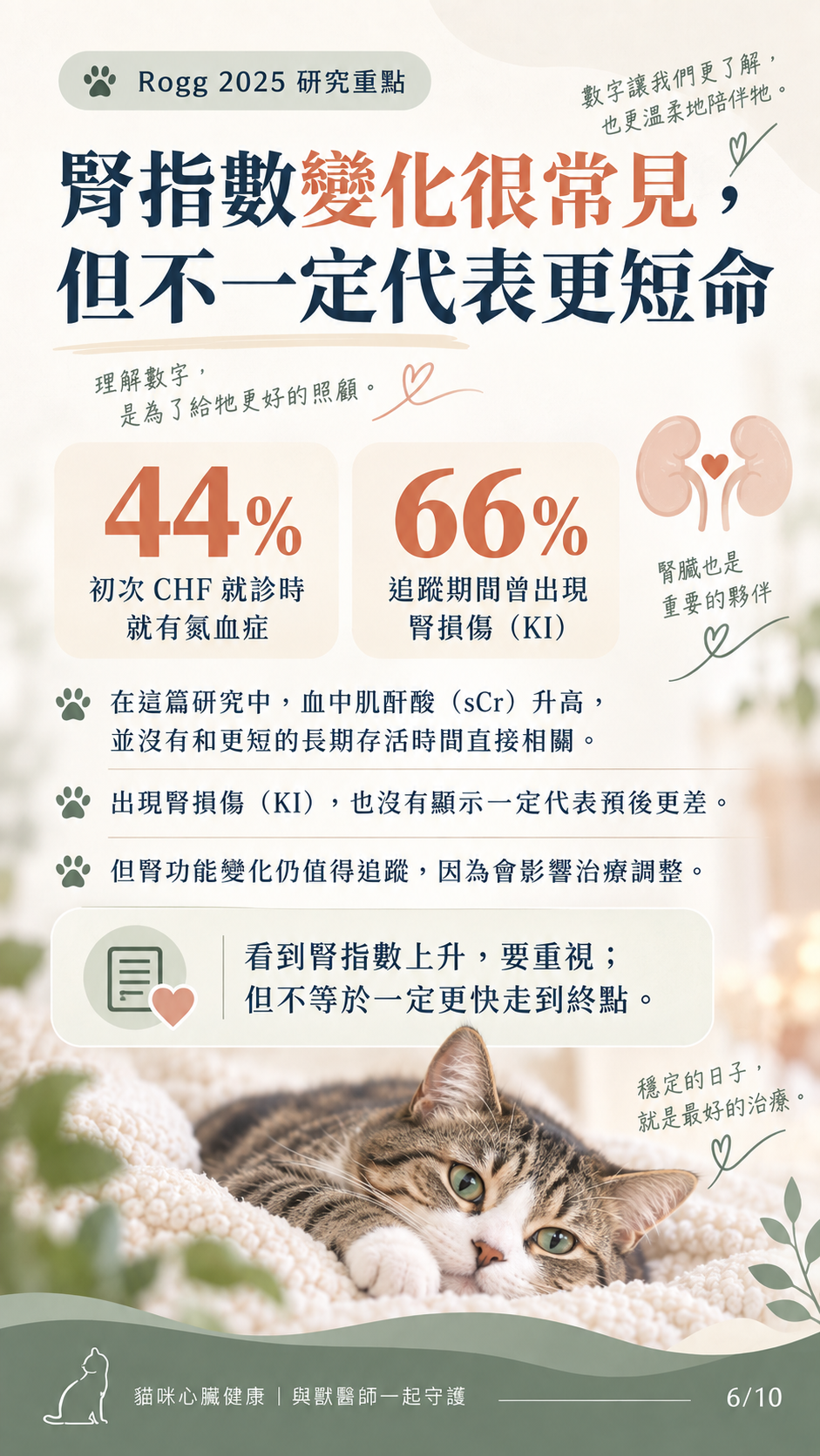 貓咪心衰竭預後與照護圖卡第 6 張：腎臟指數與健康追蹤。