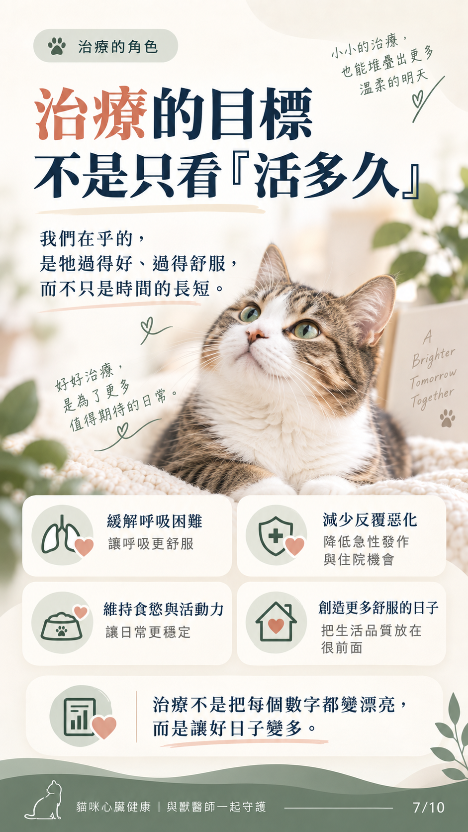 貓咪心衰竭預後與照護圖卡第 7 張：治療目標包含生活品質與可執行性。
