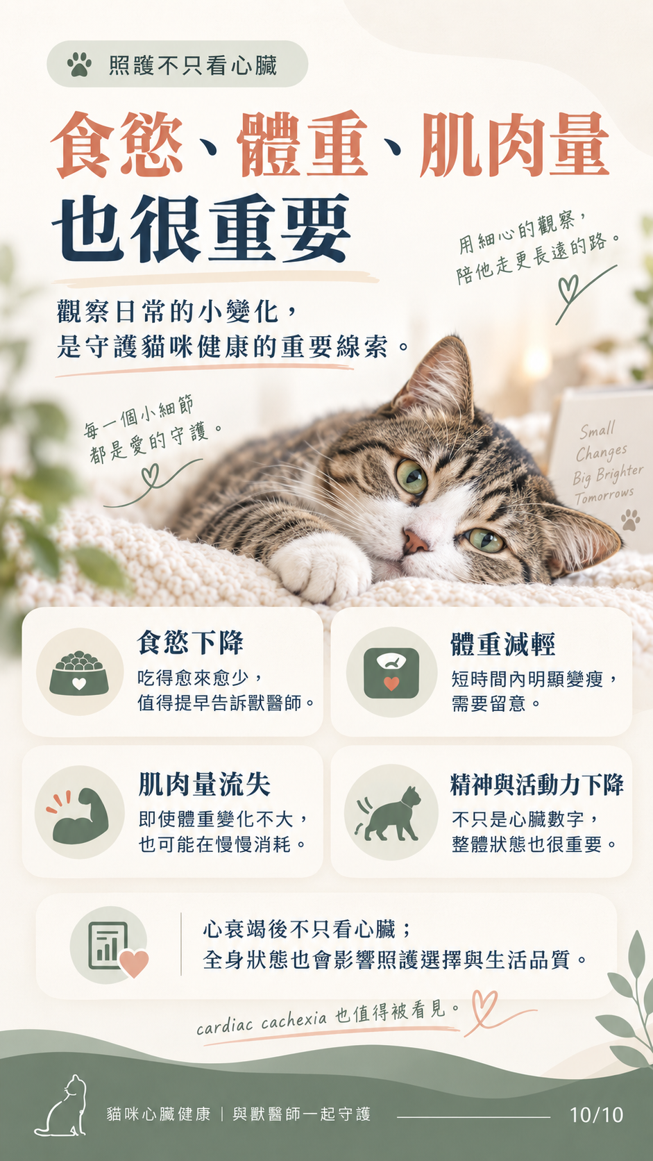 貓咪心衰竭預後與照護圖卡第 10 張：食慾、體重與肌肉量的日常守護。