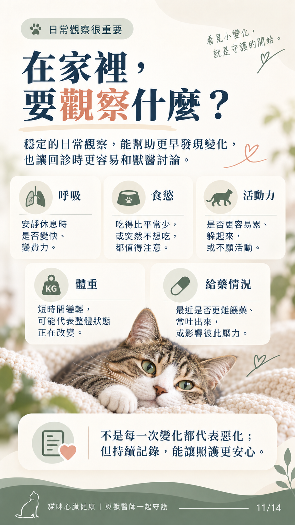 貓咪心衰竭預後與照護圖卡第 11 張：居家觀察重點。