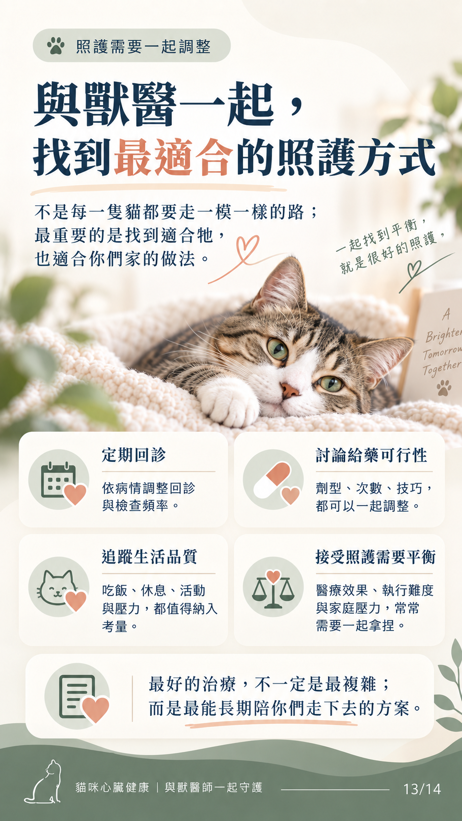 貓咪心衰竭預後與照護圖卡第 13 張：與獸醫共同找到照護平衡。