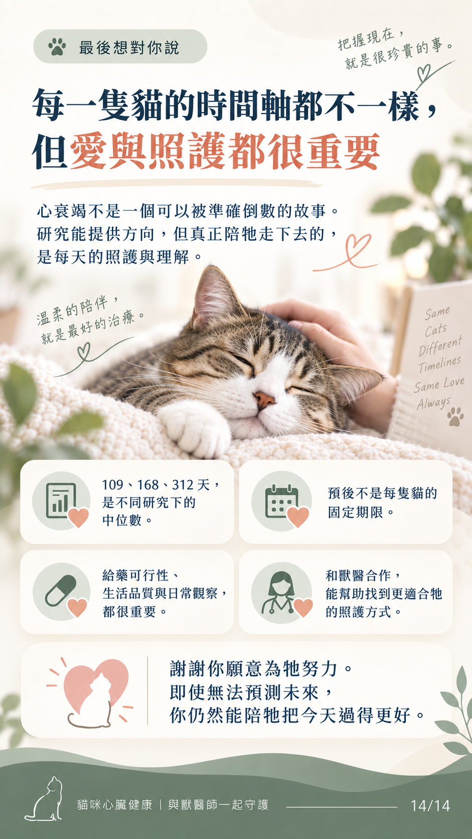 貓咪心衰竭預後與照護圖卡第 14 張：溫柔陪伴，守護每一天。