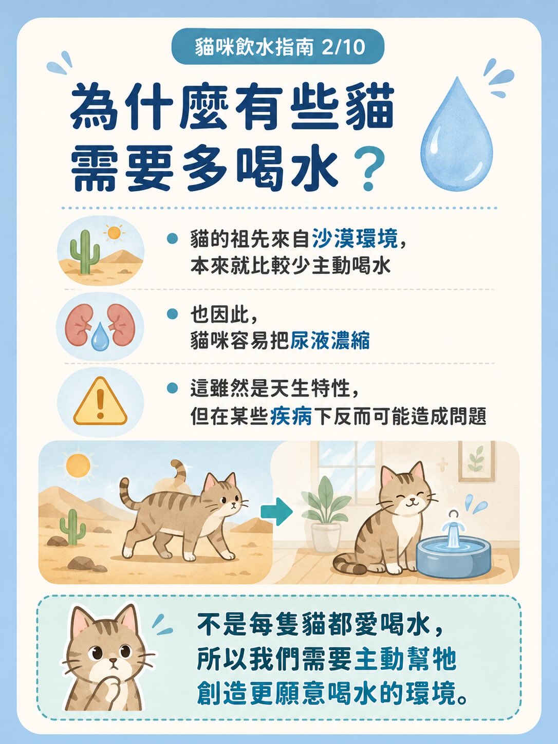 讓貓咪多喝水：居家實用指南圖卡 2
