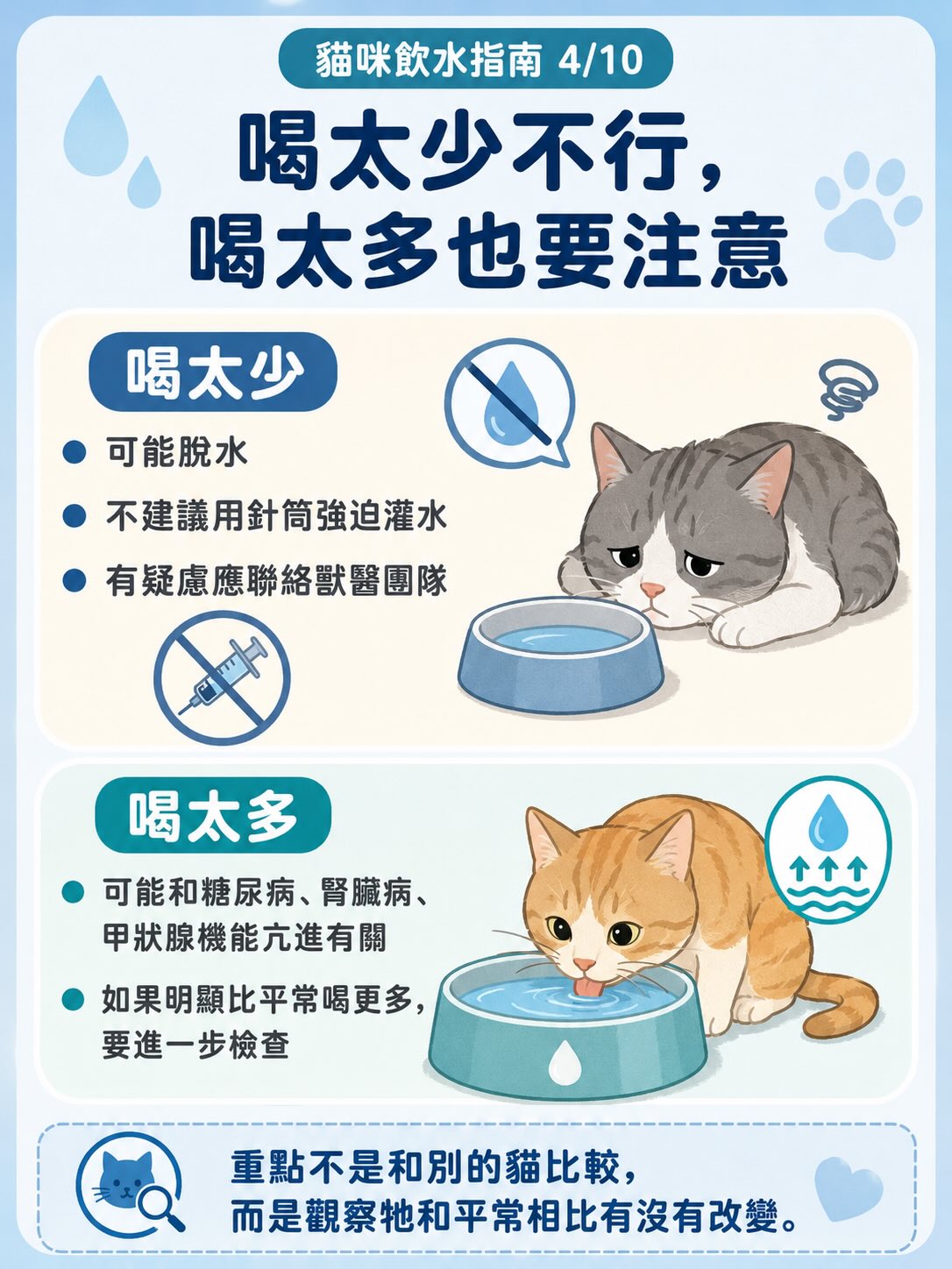 讓貓咪多喝水：居家實用指南圖卡 4