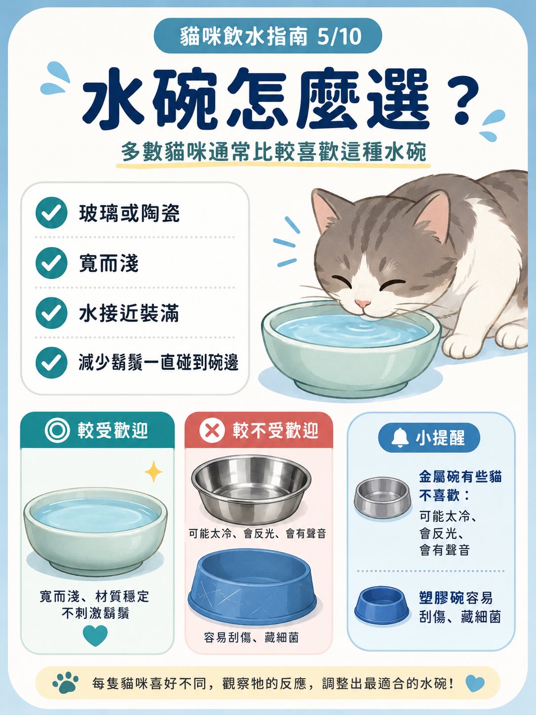 讓貓咪多喝水：居家實用指南圖卡 5