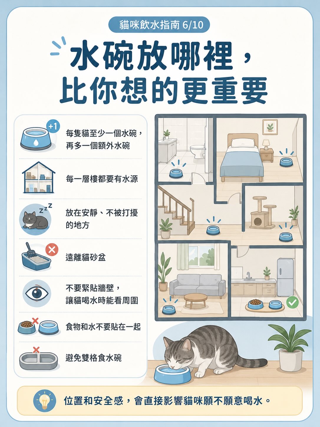 讓貓咪多喝水：居家實用指南圖卡 6