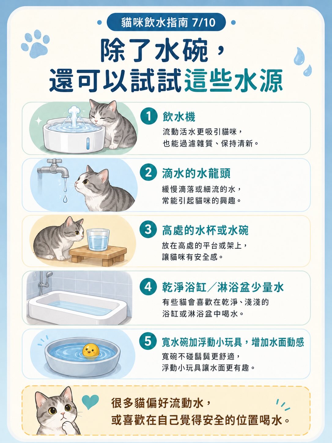 讓貓咪多喝水：居家實用指南圖卡 7