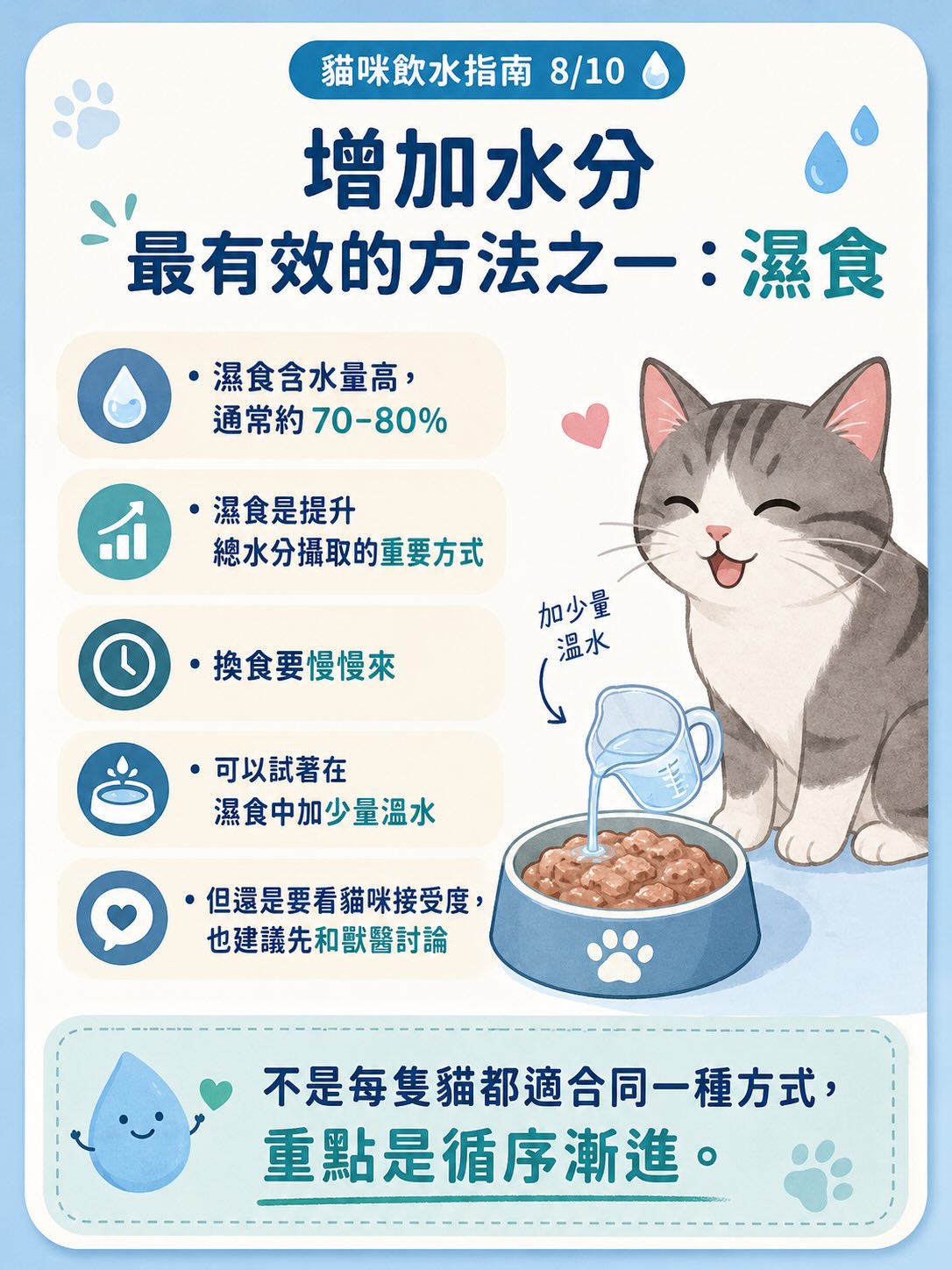 讓貓咪多喝水：居家實用指南圖卡 8