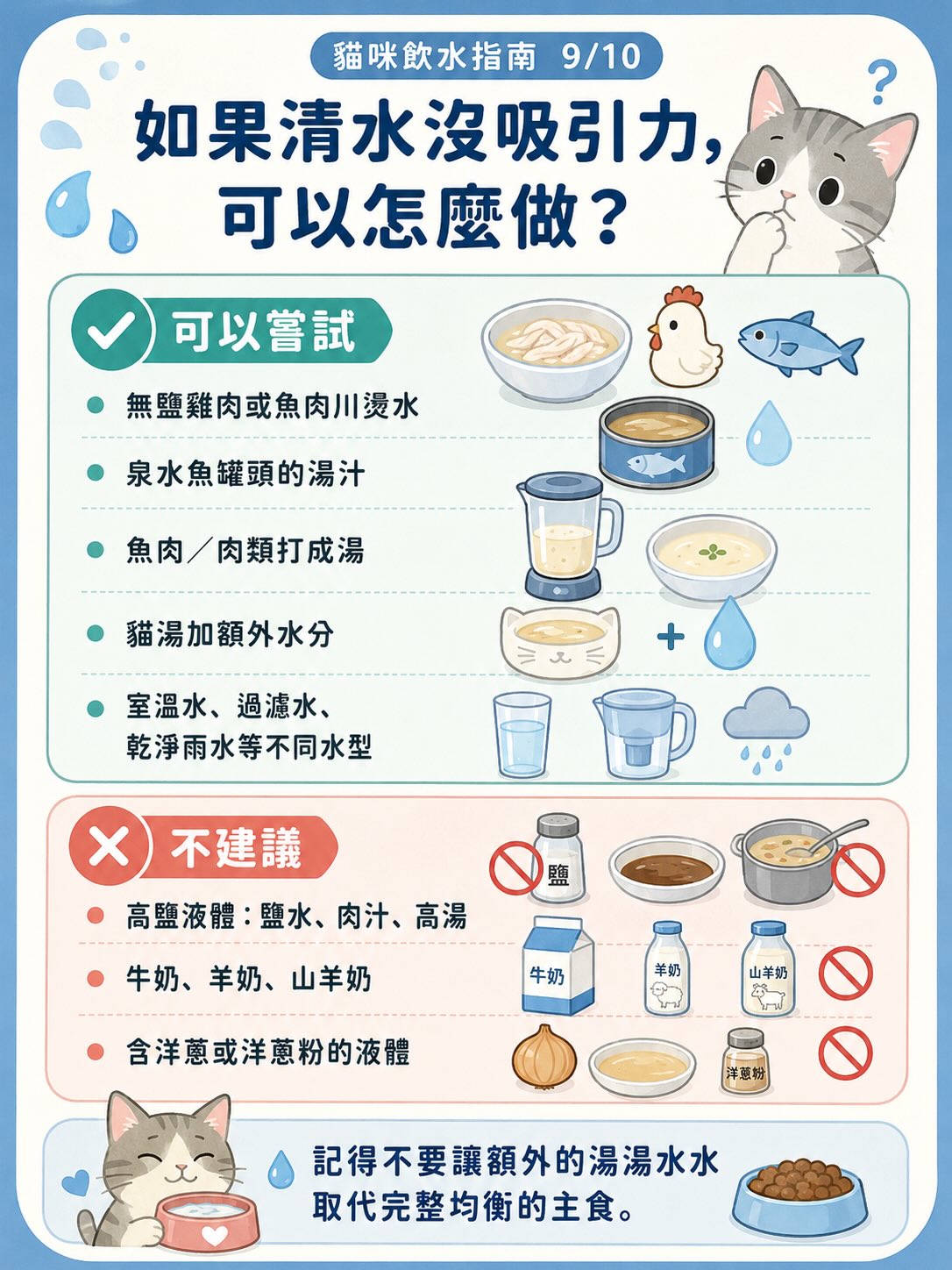 讓貓咪多喝水：居家實用指南圖卡 9