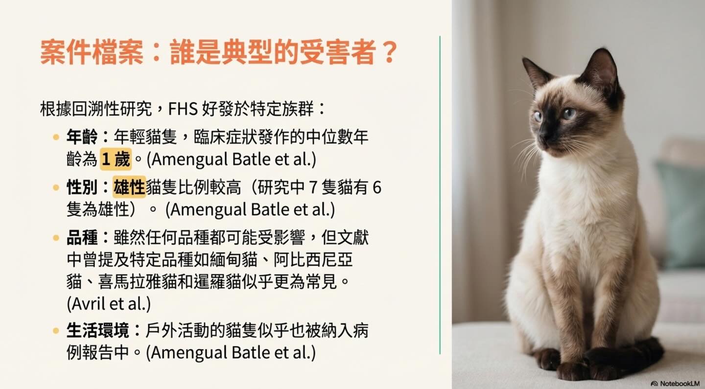 貓咪的滾動皮膚症候群（FHS）圖卡 3