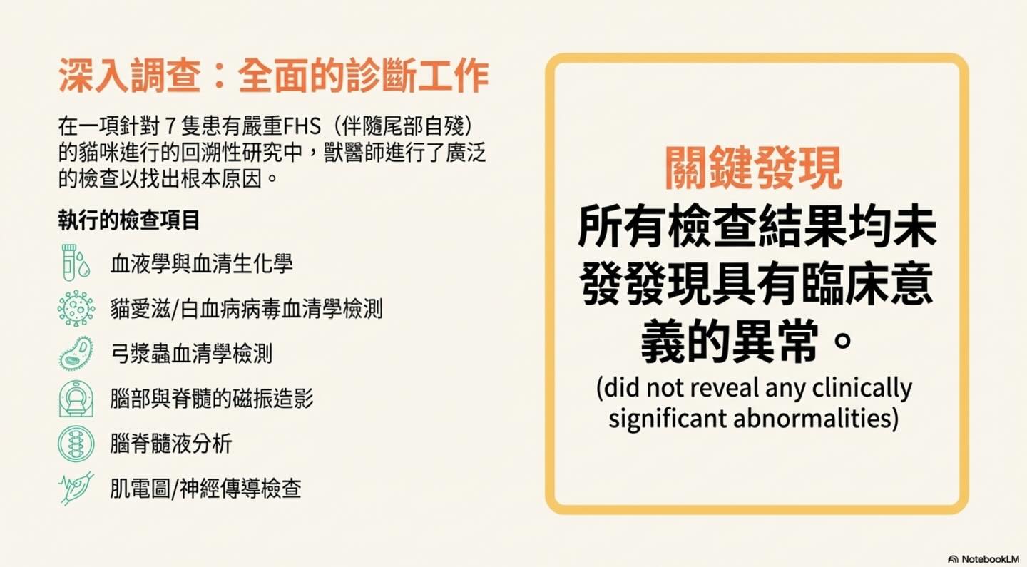 貓咪的滾動皮膚症候群（FHS）圖卡 6