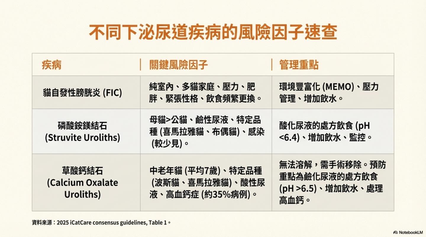 貓下泌尿道症狀（LUTS）：一個常見的臨床難題圖卡 7