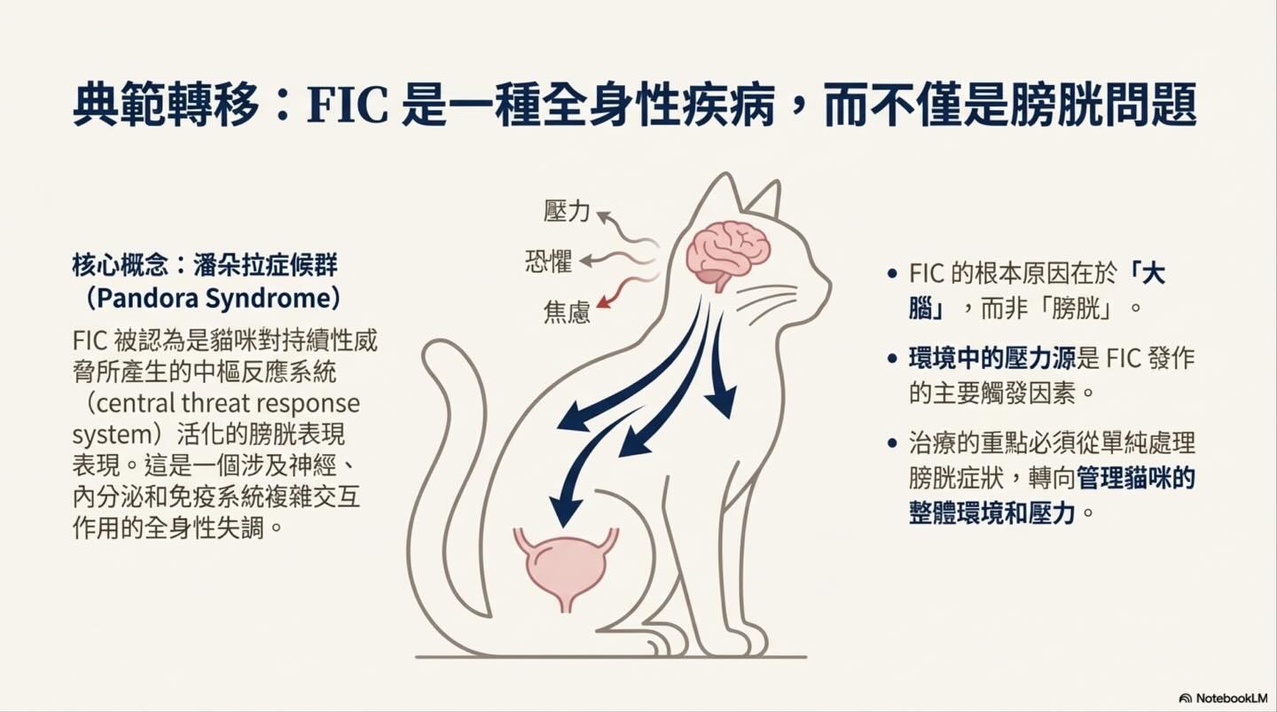 解碼貓下泌尿道疾病（LUTD）：從急診 triage 到長期管理圖卡 10