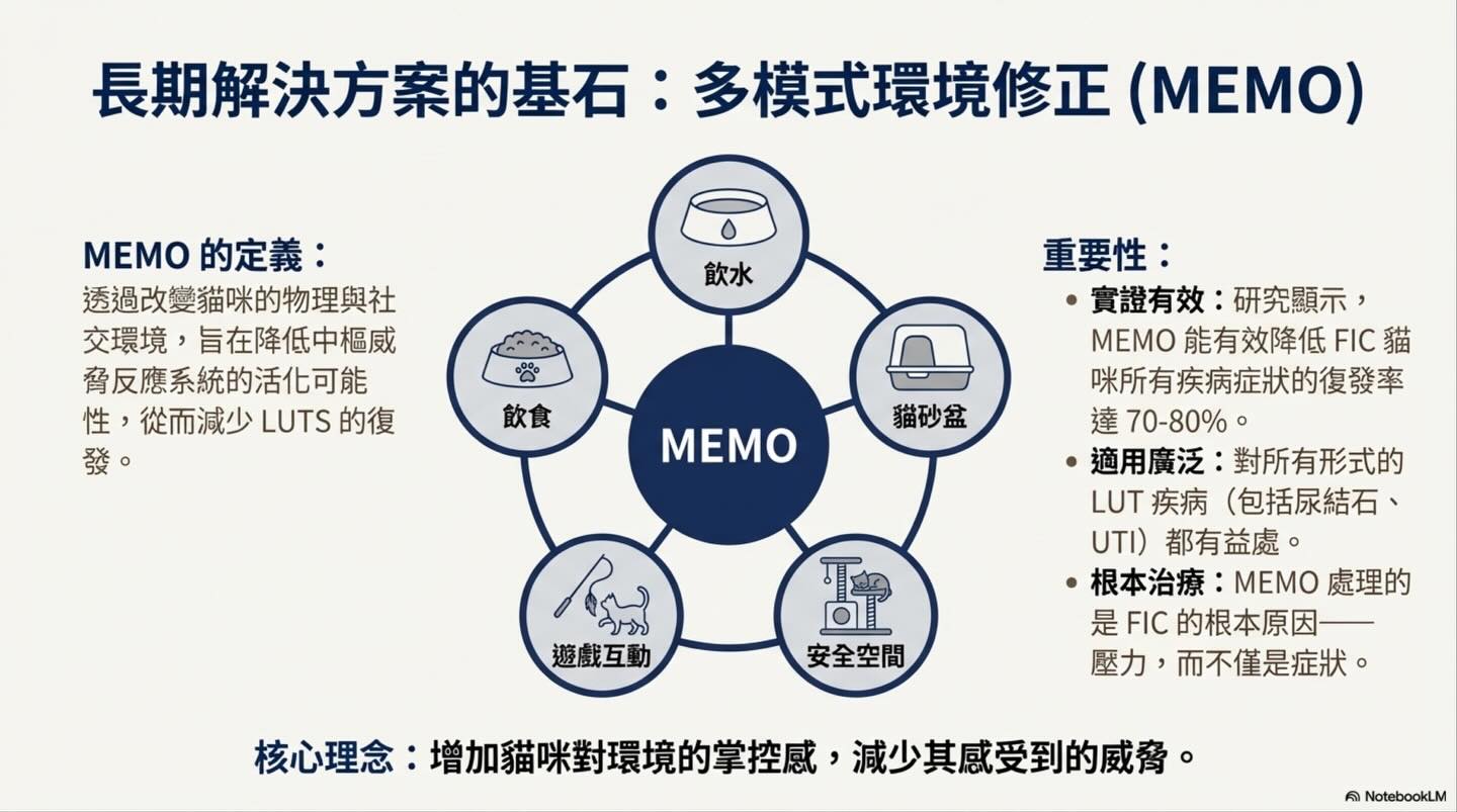 解碼貓下泌尿道疾病（LUTD）：從急診 triage 到長期管理圖卡 11