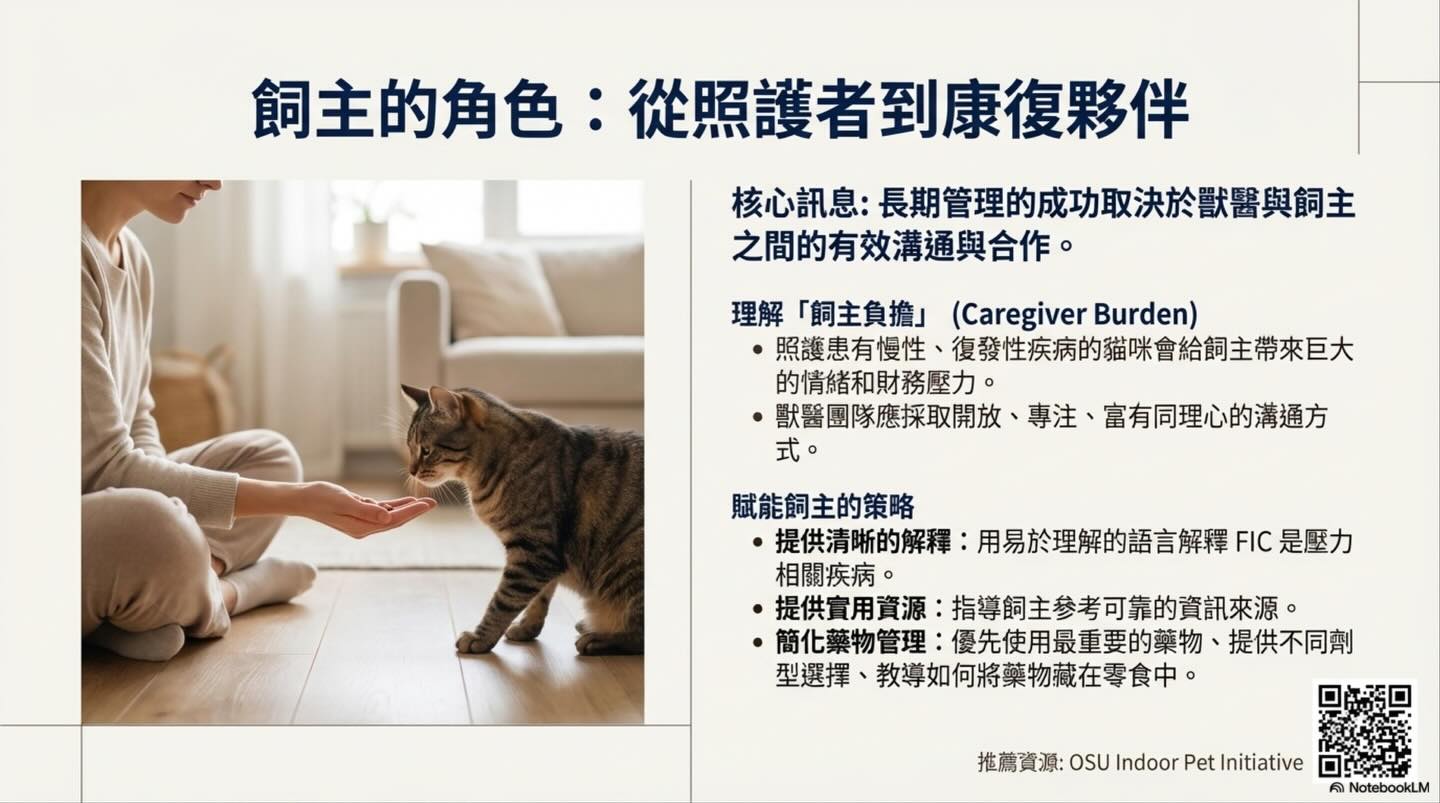 解碼貓下泌尿道疾病（LUTD）：從急診 triage 到長期管理圖卡 14