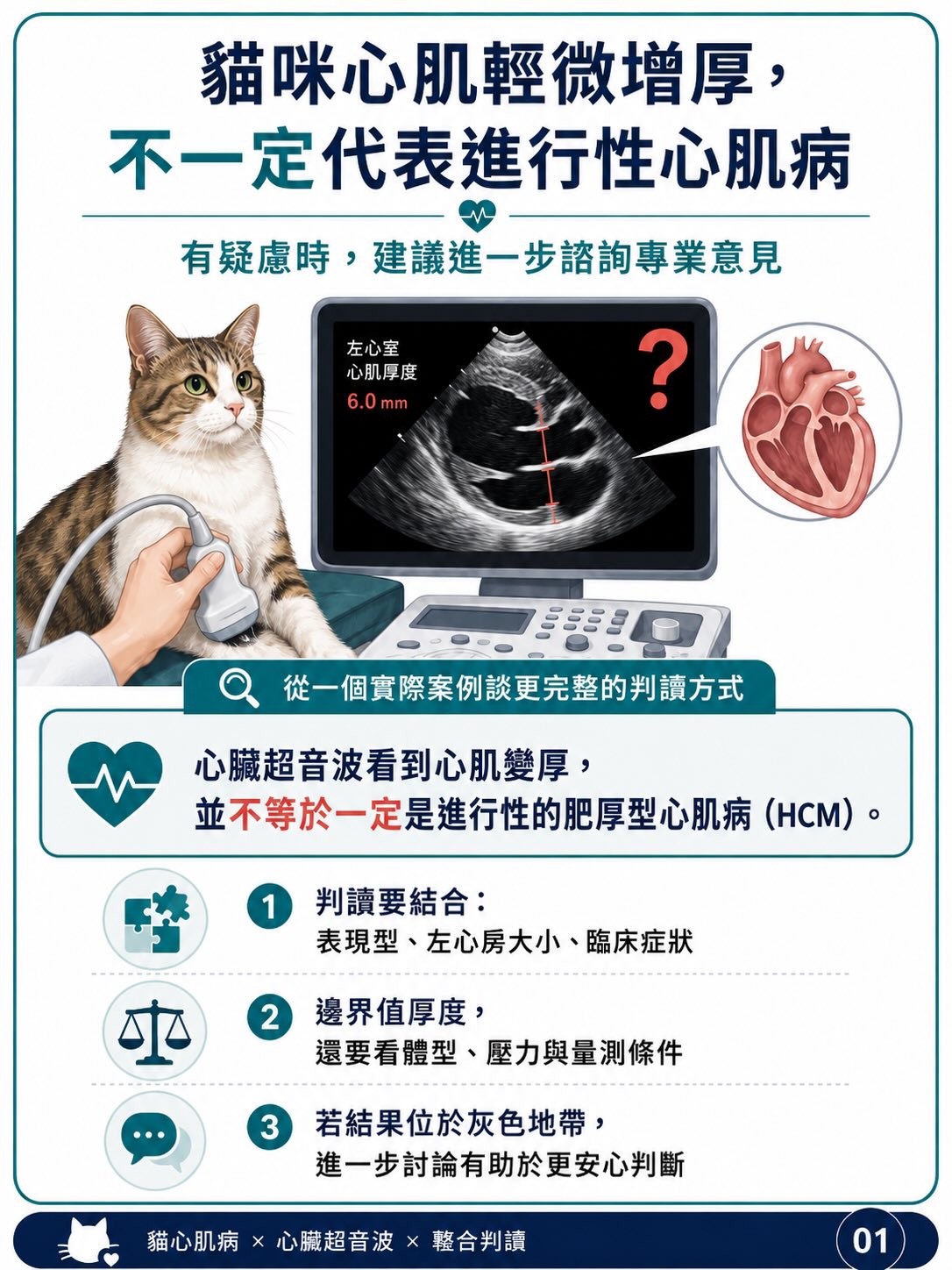 手機直式圖卡集合封面：貓咪心肌輕微增厚，不一定代表進行性心肌病