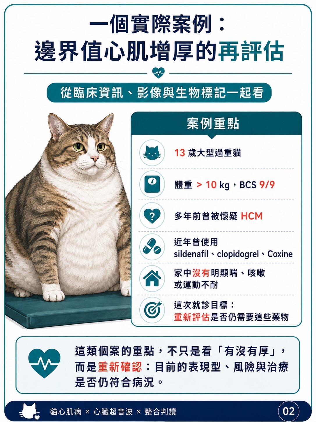 貓 HCM｜輕微心肌增厚與表現型圖卡 2：一個實際案例：邊界值心肌增厚的再評估