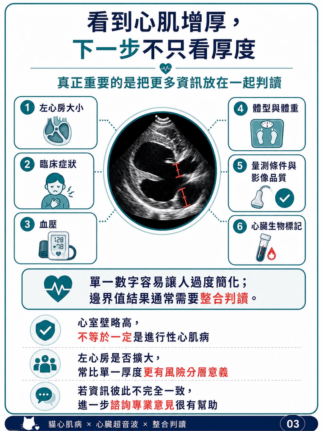 貓 HCM｜輕微心肌增厚與表現型圖卡 3：看到心肌增厚，下一步不只看厚度