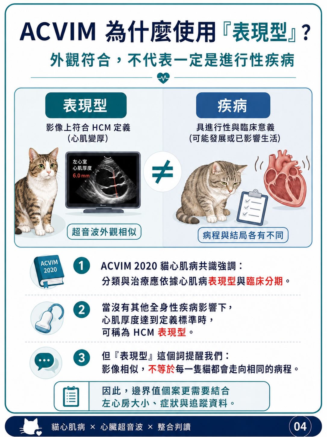 貓 HCM｜輕微心肌增厚與表現型圖卡 4：ACVIM 為什麼使用「表現型」？