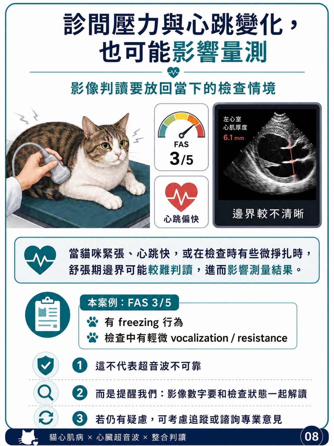 貓 HCM｜輕微心肌增厚與表現型圖卡 8：診間壓力與心跳變化，也可能影響量測